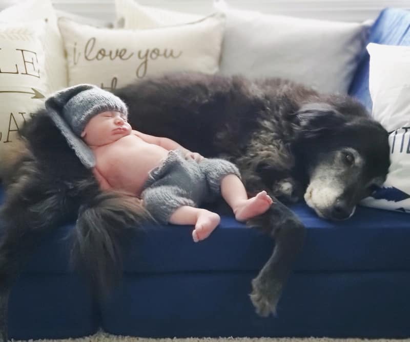 Jacob as a newborn laying with Bentley.