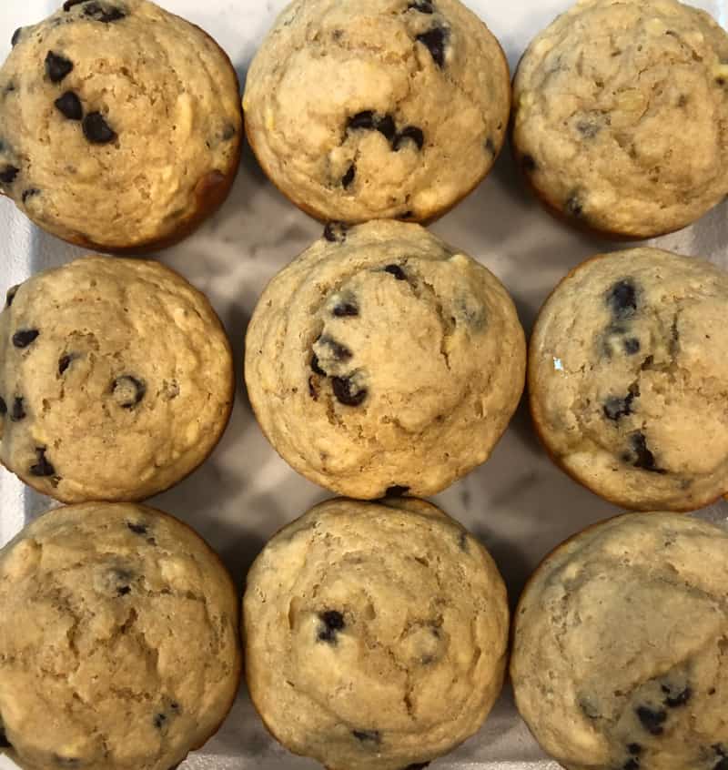 Chocolate chip muffins