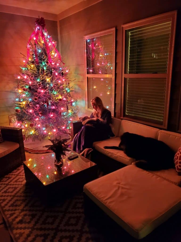 Lindsey holding newborn Jacob on the couch on the back patio next to the tree and Bentley laying on the couch next to them.